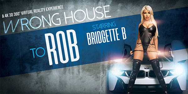 The Wrong House to Rob