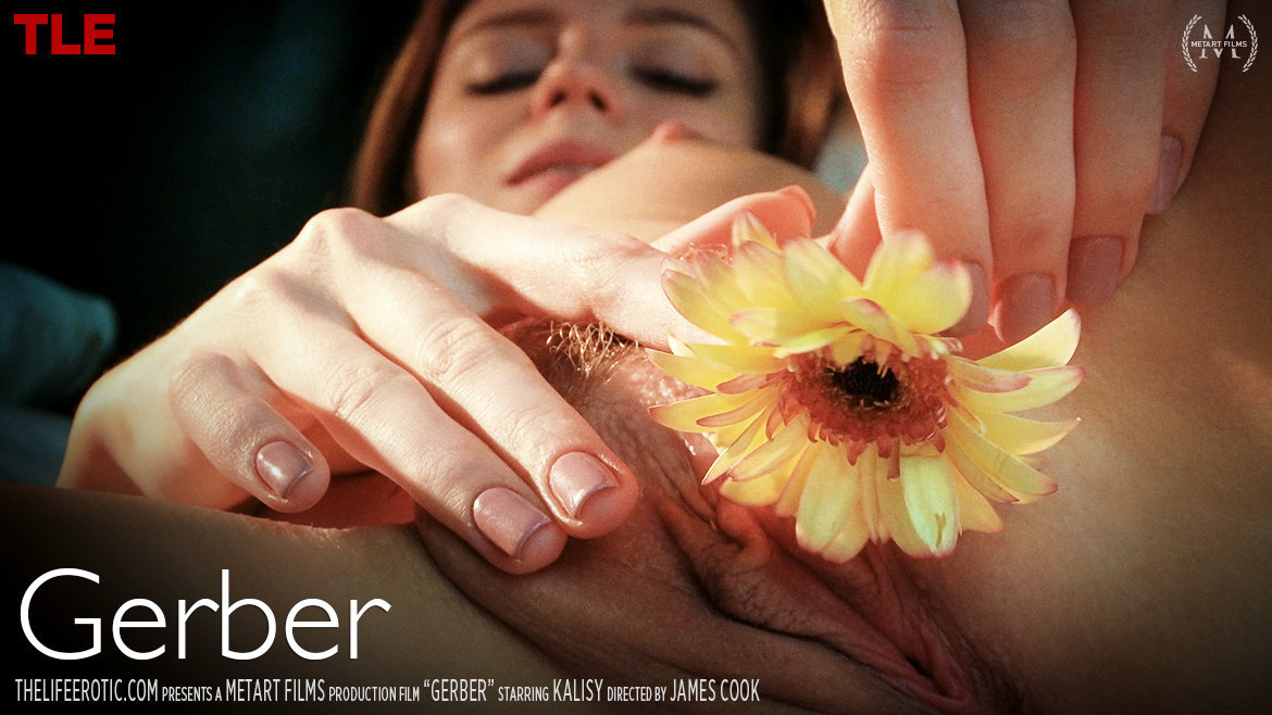 Gerber – Kalisy