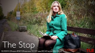 The Stop – Bree Haze