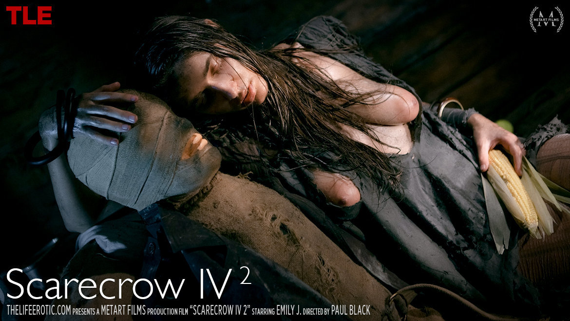 Scarecrow IV 2 – Emily J